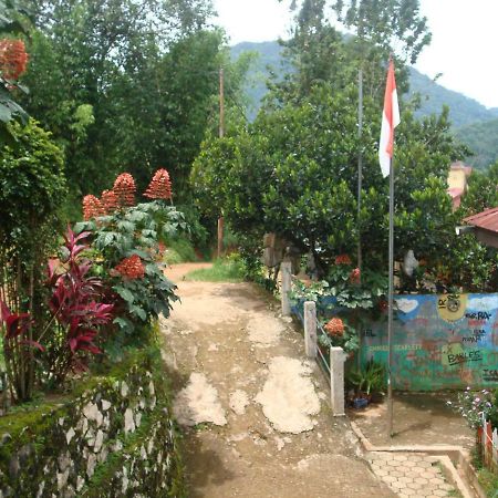 Se'Pon Homestay Makale Bagian luar foto